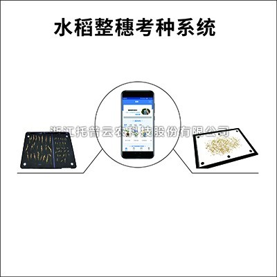 水稻整穗考种仪：一款基于图像识别技术的水稻整穗考种测量工具