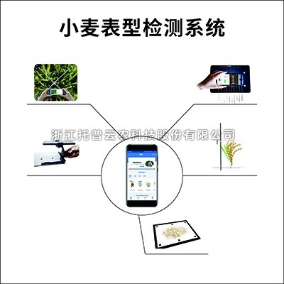 小麦表型检测系统：专业的小麦表型检测仪器