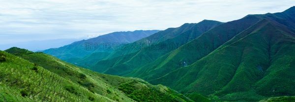 智慧护林有妙招，看太子山如何用科技守护森林