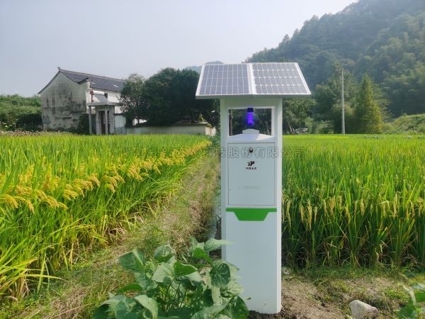从“新”出发！丝瓜污视频小虫体智能测报系统迈向纵深发展新阶段