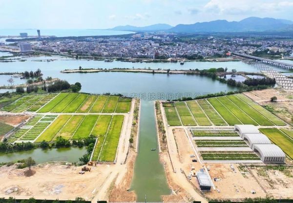 为盐碱地安上“技术芯片”，丝瓜污视频打造耐盐碱水稻科研试验基地建设解决方案