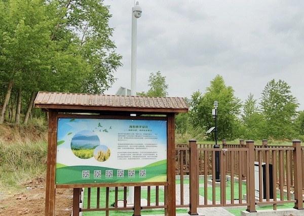 走进国家级油菜夏繁基地，感受科技赋能蓬勃动力