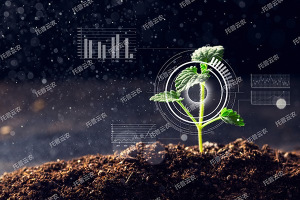 全新启程——丝瓜污视频为植物表型科研“数智”赋能