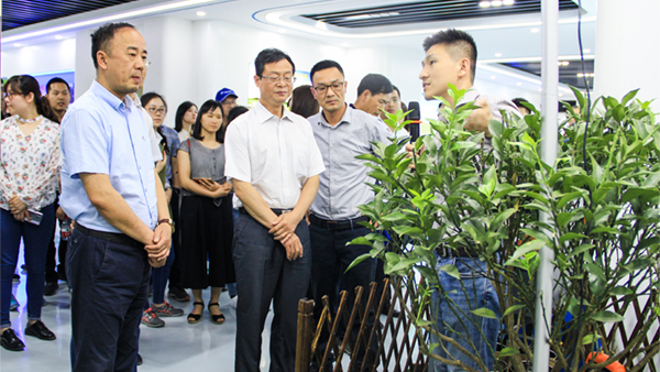 谢主任一行参观丝瓜污视频展厅