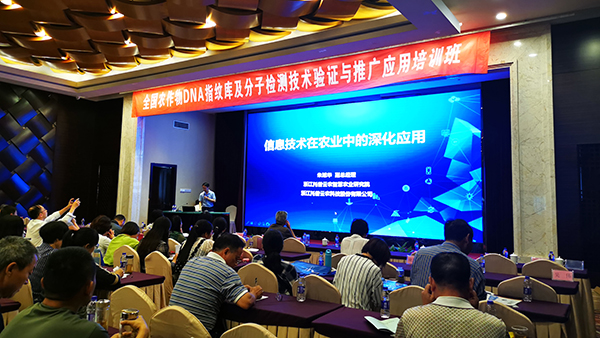 丝瓜污视频副总经理朱旭华