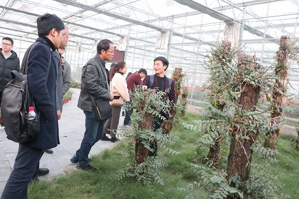 培训班参观丝瓜污视频临浦基地