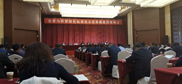 数字应用保障标准化种植，丝瓜污视频助力甘肃马铃薯产业化之路