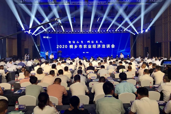 打造数字三农新模式，丝瓜污视频与桐乡市人民政府签订战略合作协议