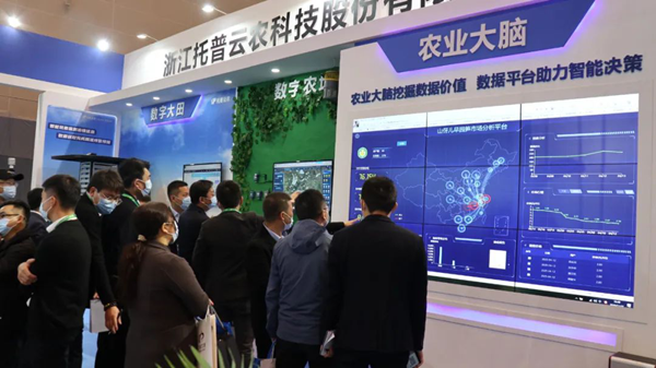 丝瓜污视频展位