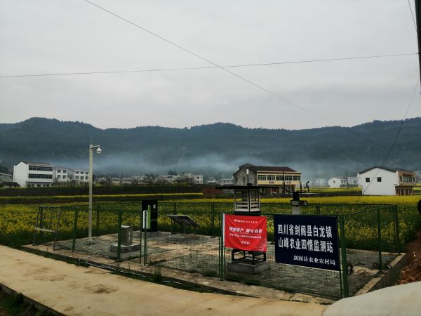 丝瓜污视频病虫害监测点