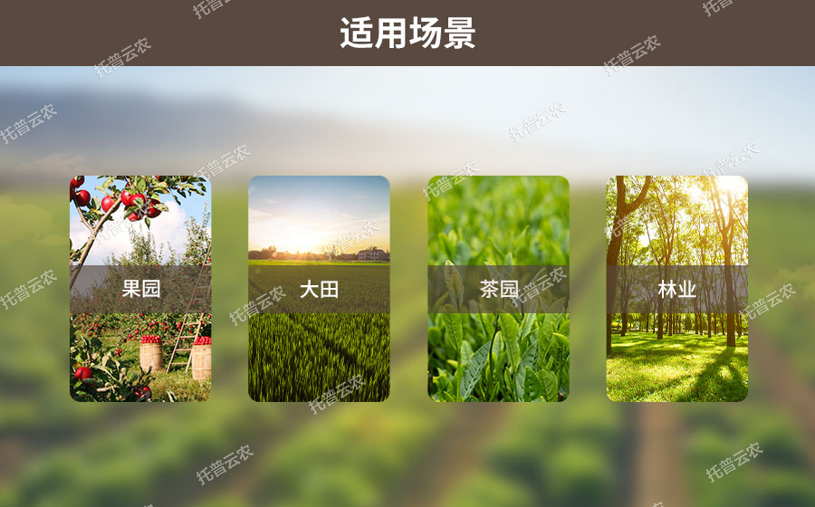 丝瓜影院APP墒情监测系统适用场景