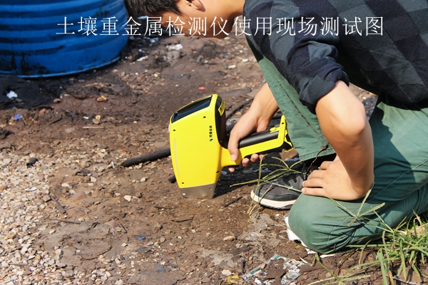 丝瓜影院APP重金属检测仪使用现场测试图