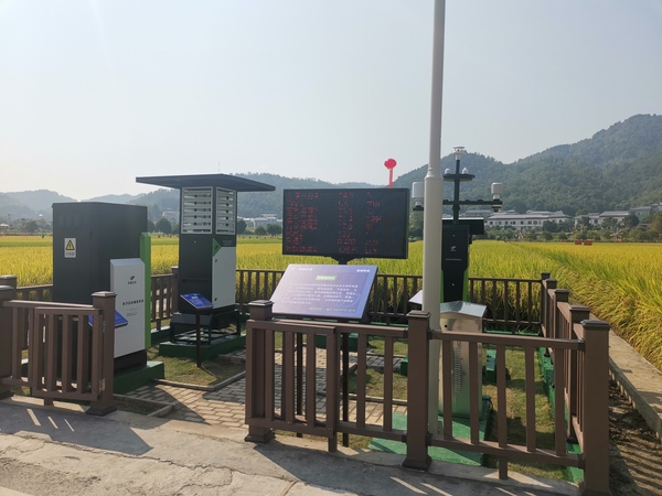 与会专家领导参观丝瓜污视频支撑构建的智慧种业服务平台