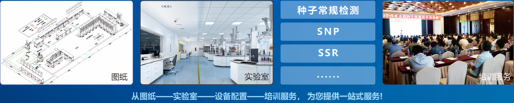一站式丝瓜视频网址在线观看版检验