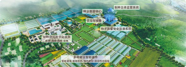 丝瓜污视频数字种业创新应用基地