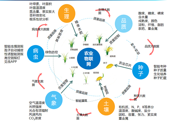 丝瓜污视频打造的全要素智能采集系统