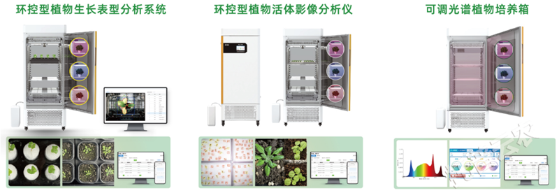 图片27.png